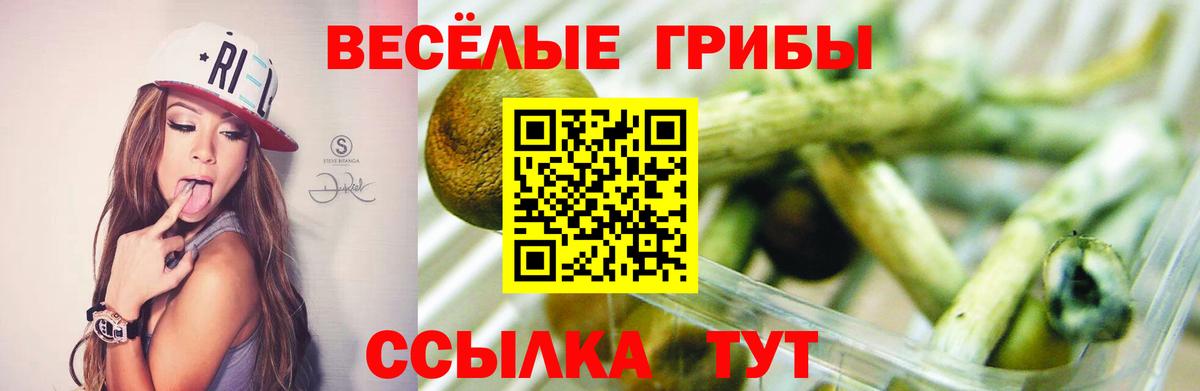 Галлюциногенные грибы GOLDEN TEACHER  Вход с VPN  Ростов-на-Дону 